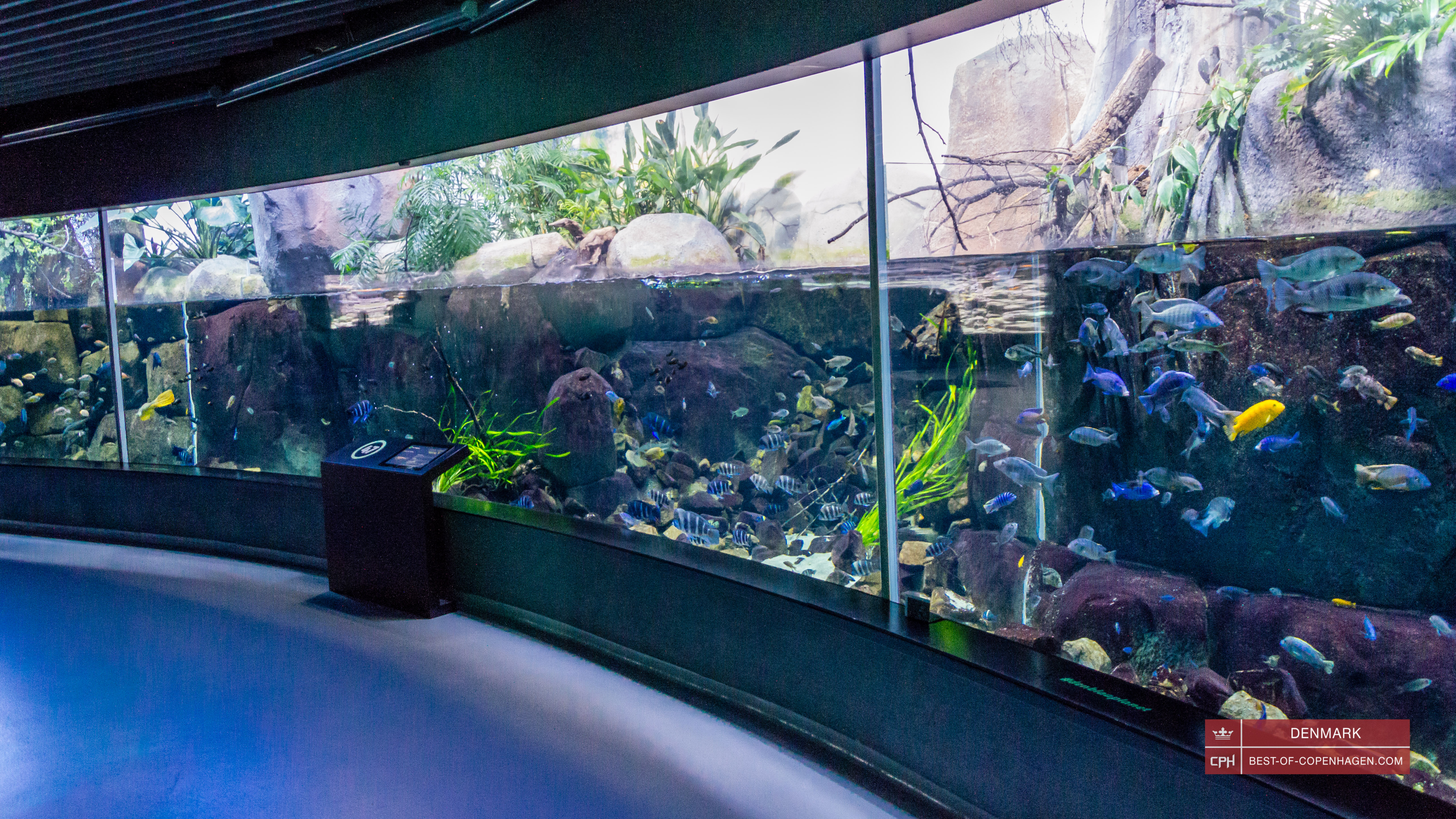 L'aquarium du Danemark, Den Blå Planet, Copenhague, Danemark